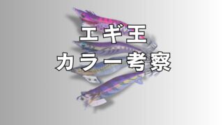 エギ王カラー考察