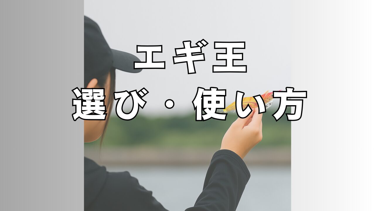 エギ選び・使い方