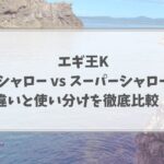 エギ王K　シャローとスーパーシャロー