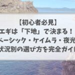エギ王カラー